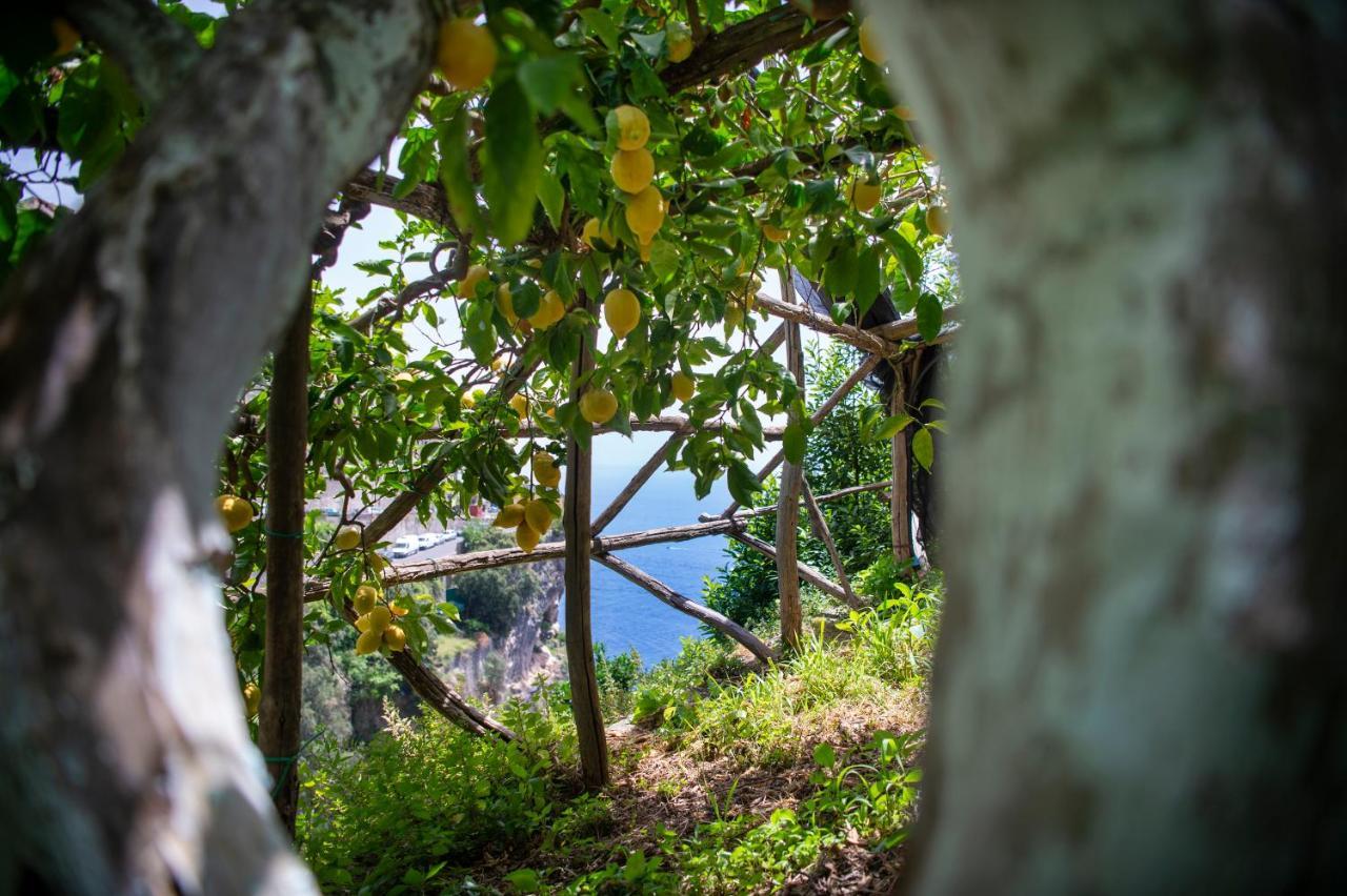 Hotel La Pergola Amalfi Exterior photo