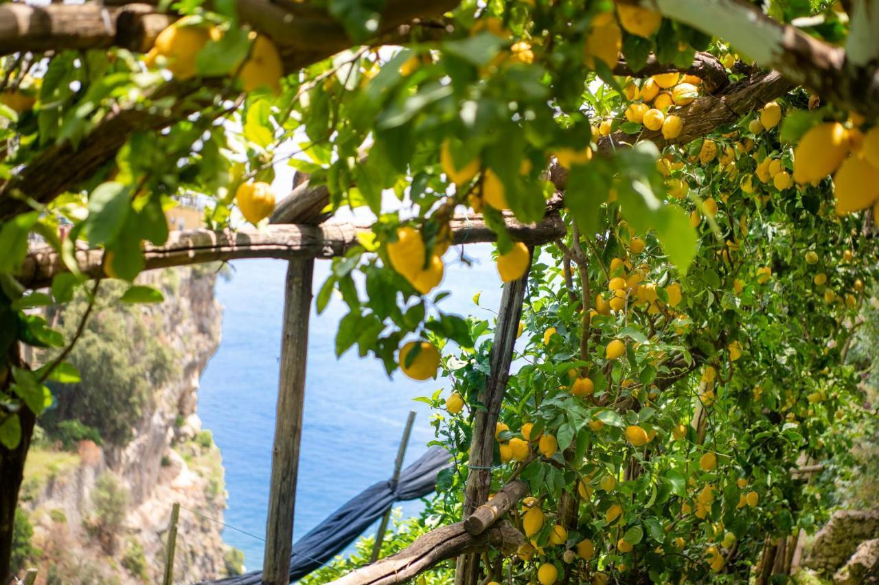 Hotel La Pergola Amalfi Exterior photo