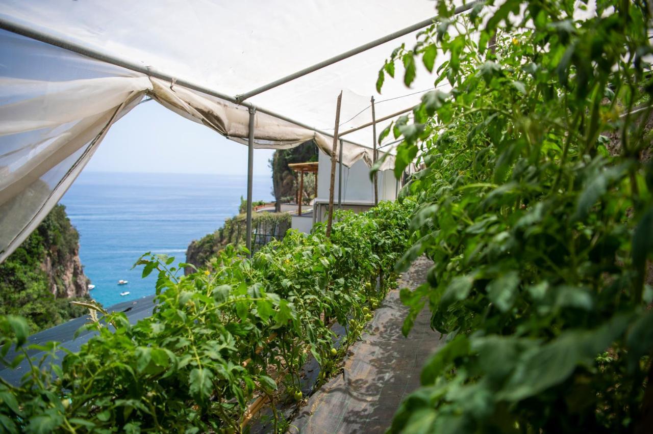 Hotel La Pergola Amalfi Exterior photo